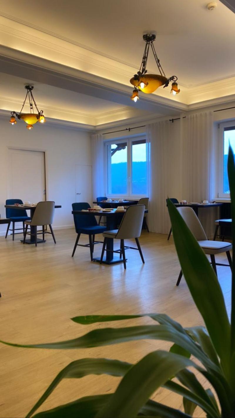 Hotel Le Bellevue Les Roches-de-Condrieu Екстериор снимка